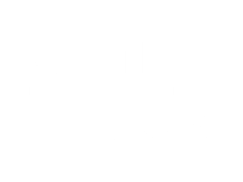 UltiPlugs - Earplugs for Loud Music
